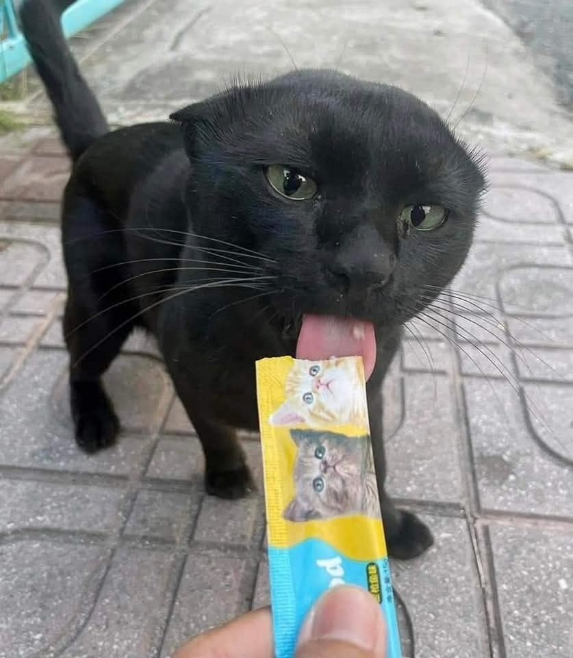�� ����� ������� � ������ ������� ������ - 3