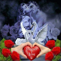 �����, ���������, 50 ���