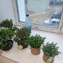 ���� ������, ��������, 60 ��� - ��������� 5 ������� 2024 � ������ ���� ����������