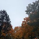 ���� ���������, ����� - ��������� 10 ������� 2025 � ������ ��������������� ������ ���������Ȼ