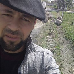 , 37, 