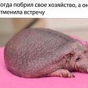 ���� ���������, ���������, 32 ���� - ��������� 7 �������� 2024 � ������ ���� ����������