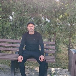 , 43, 
