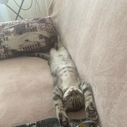 ���� ����, ���������, 50 ��� - ��������� 28 ���� 2025