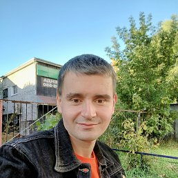 , 32, 