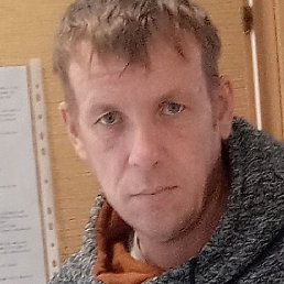 ������, ���, 41 ���