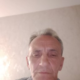 , 61, 