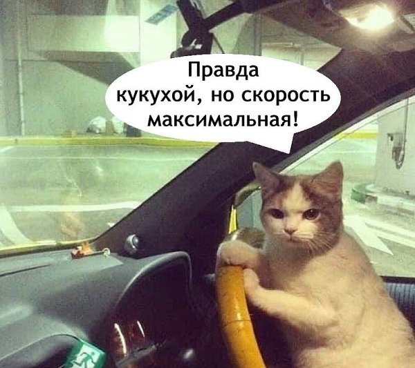 ��� ���������� - ������! - 5 ������� 2025 � 13:21 - 2