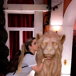 ���� ����, ������, 40 ��� - ��������� 14 ������ 2026