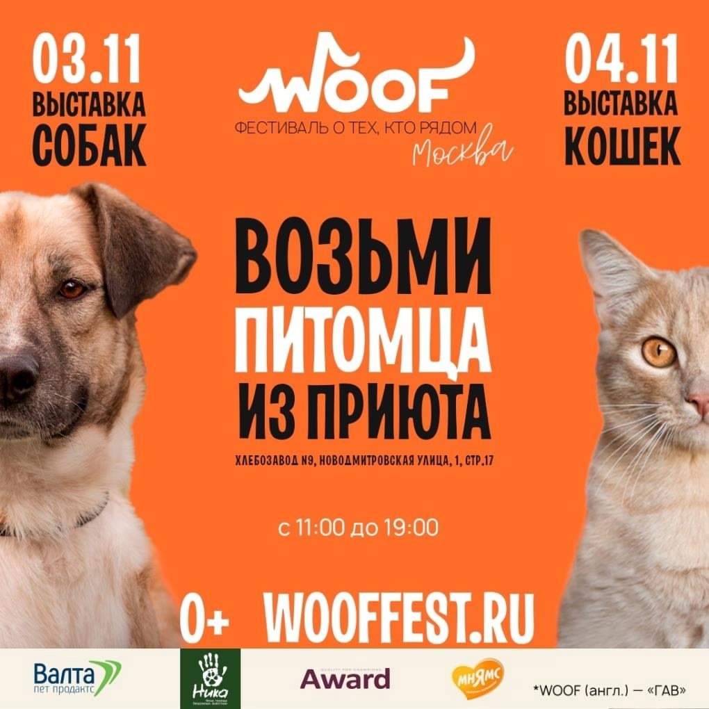 WOOF FEST    3  4 ! 80     150    ...