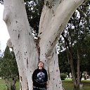 ���� ������, ���������, 65 ��� - ��������� 10 ������ 2026 � ������ ���� ����������