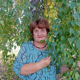 ���� ����, ��������� - ��������� 19 ������ 2025