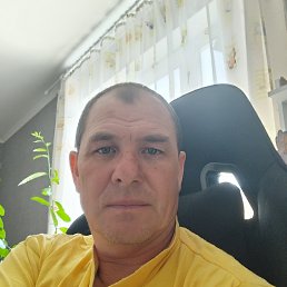 , 50, 