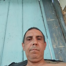 , 43, 