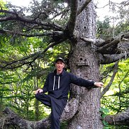 �������, 48 ���, �������