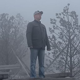 ������, �����������, 41 ���