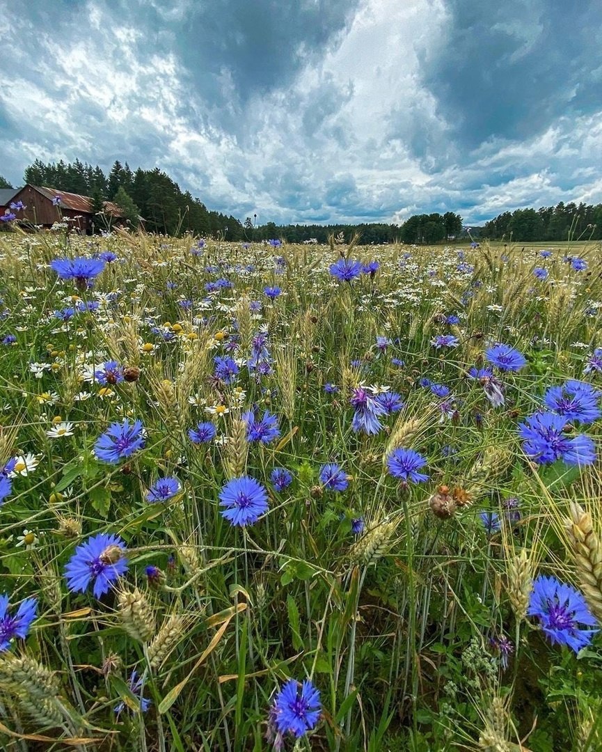 Геннадий - 15 июня 2025 в 03:32
