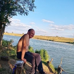 , 46, 