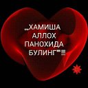 ���� �����, ������, 44 ���� - ��������� 17 ������ 2023