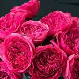 ���� �������, ������, 49 ��� - ��������� 28 ������ 2023