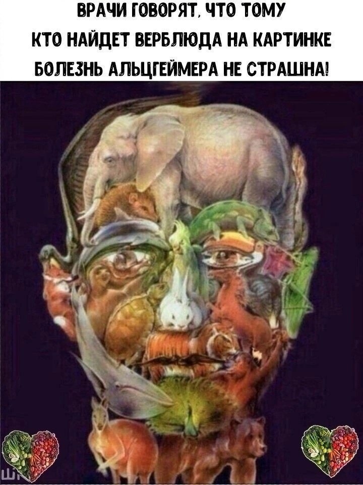  - 19  2024  20:39