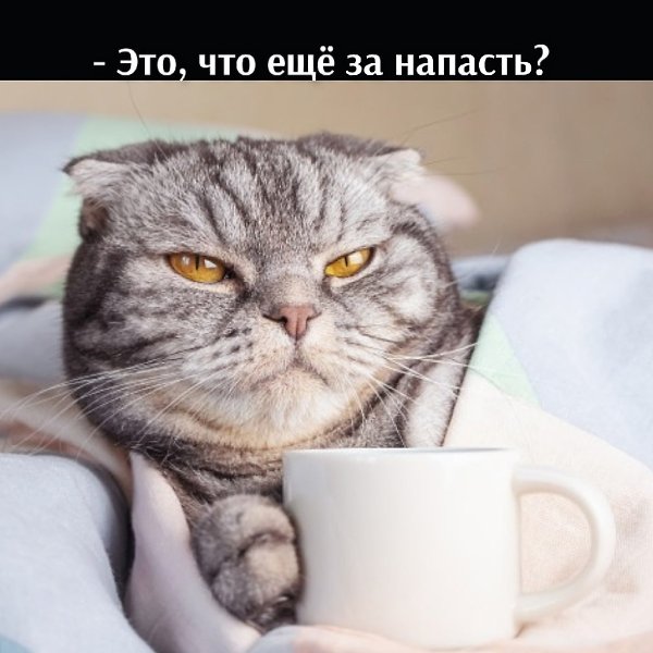       - 6  2025  11:52 - 2