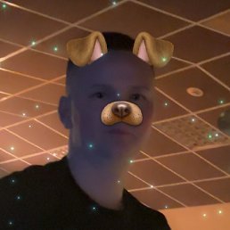 , , 29 