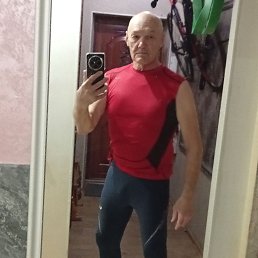 , 65, 