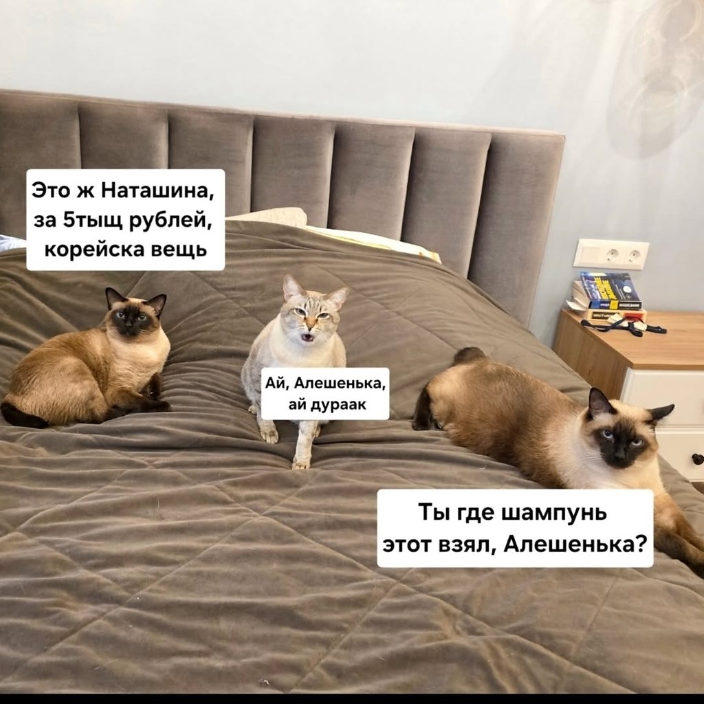 � ����... - 16 ������� 2026 � 21:28 - 2