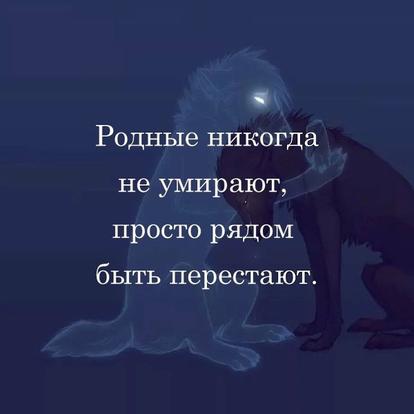   - 5  2025  23:08
