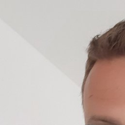 ���������, �������, 40 ���