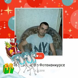 ���� �������, �������-���������, 43 ���� - ��������� 21 ������ 2026