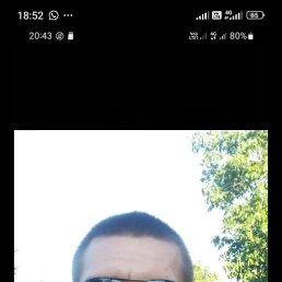 �����, 37 ���, ���������