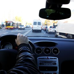 ���� ����, ������ - ��������� 29 ������ 2026