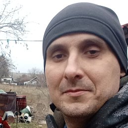 ����, �������, 37 ���