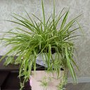 ���� �������, ������-��-����, 44 ���� - ��������� 24 ������ 2023 � ������ ���� ����������