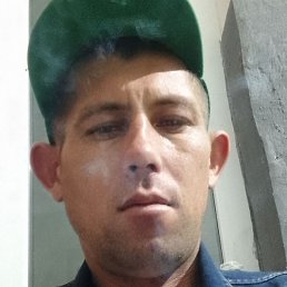 �����, ��������, 37 ���