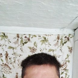  , 31, 