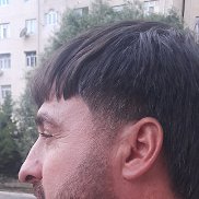 ����, 41 ���, ����