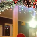 ���� �������, ���, 61 ��� - ��������� 27 ������� 2023 � ������ ���� ����������