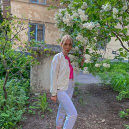 ���� �����, ���������, 34 ���� - ��������� 29 ��� 2024