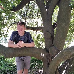 ���������, 42 ����, ������������