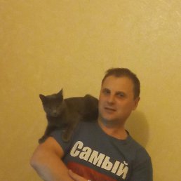 ���� ������, ���������, 45 ��� - ��������� 22 ����� 2026