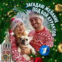 ���� ����, �������, 44 ���� - ��������� 2 ������ 2025 � ������ ���� ����������