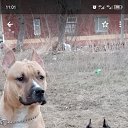 ���� �����, ���� - ��������� 7 ������ 2024 � ������ ���� ����������