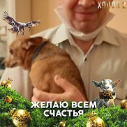 �����, 63 ����, ������