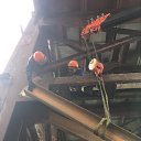 ���� ������, �����������, 43 ���� - ��������� 15 ������� 2024 � ������ ���� ����������