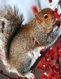    - 22  2025  21:21 - 3