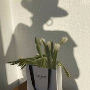 , 33 , 