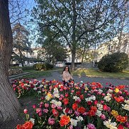 �����, 46 ���, �����������